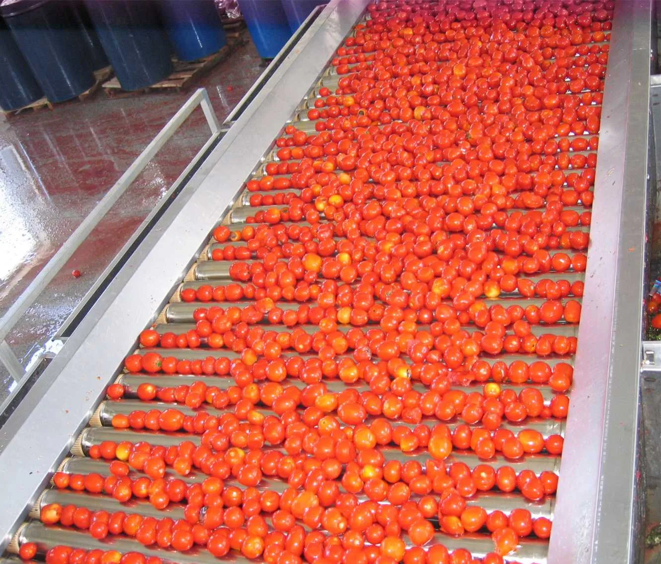 Turnkey project for tomato ketchup processing machine tomato paste plant turnkey project