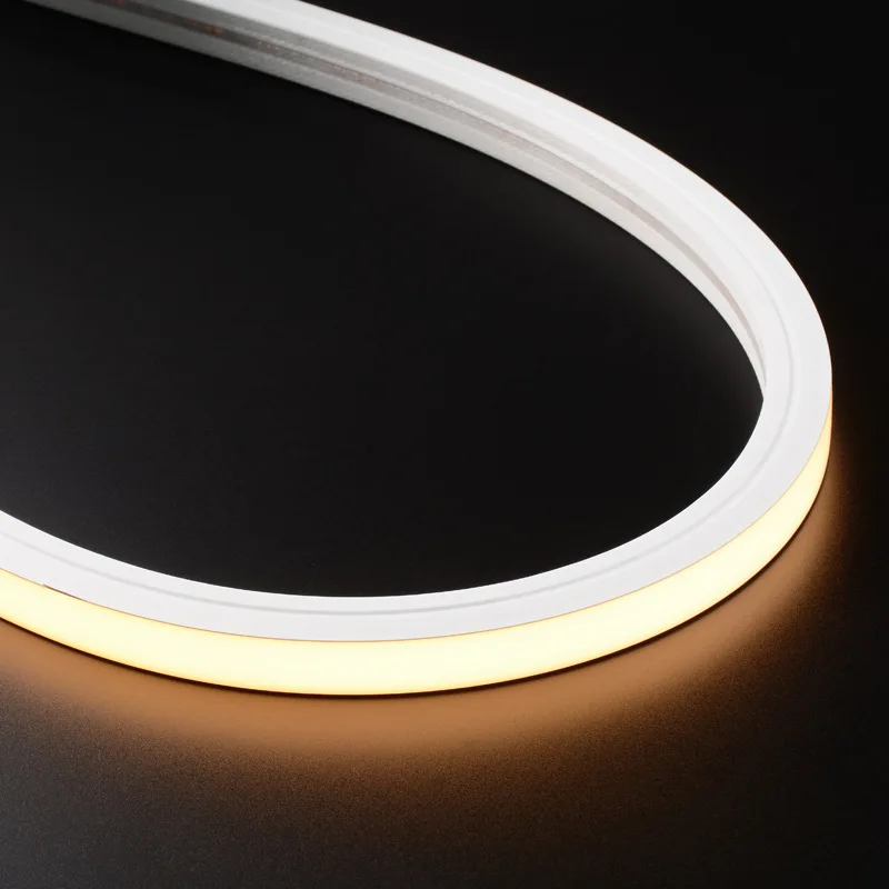 Ip65 Silicone Neon Flex Waterproof Led Flexible Light 5M SMD 2835 12V Rope Light PVC LED Neon Lights