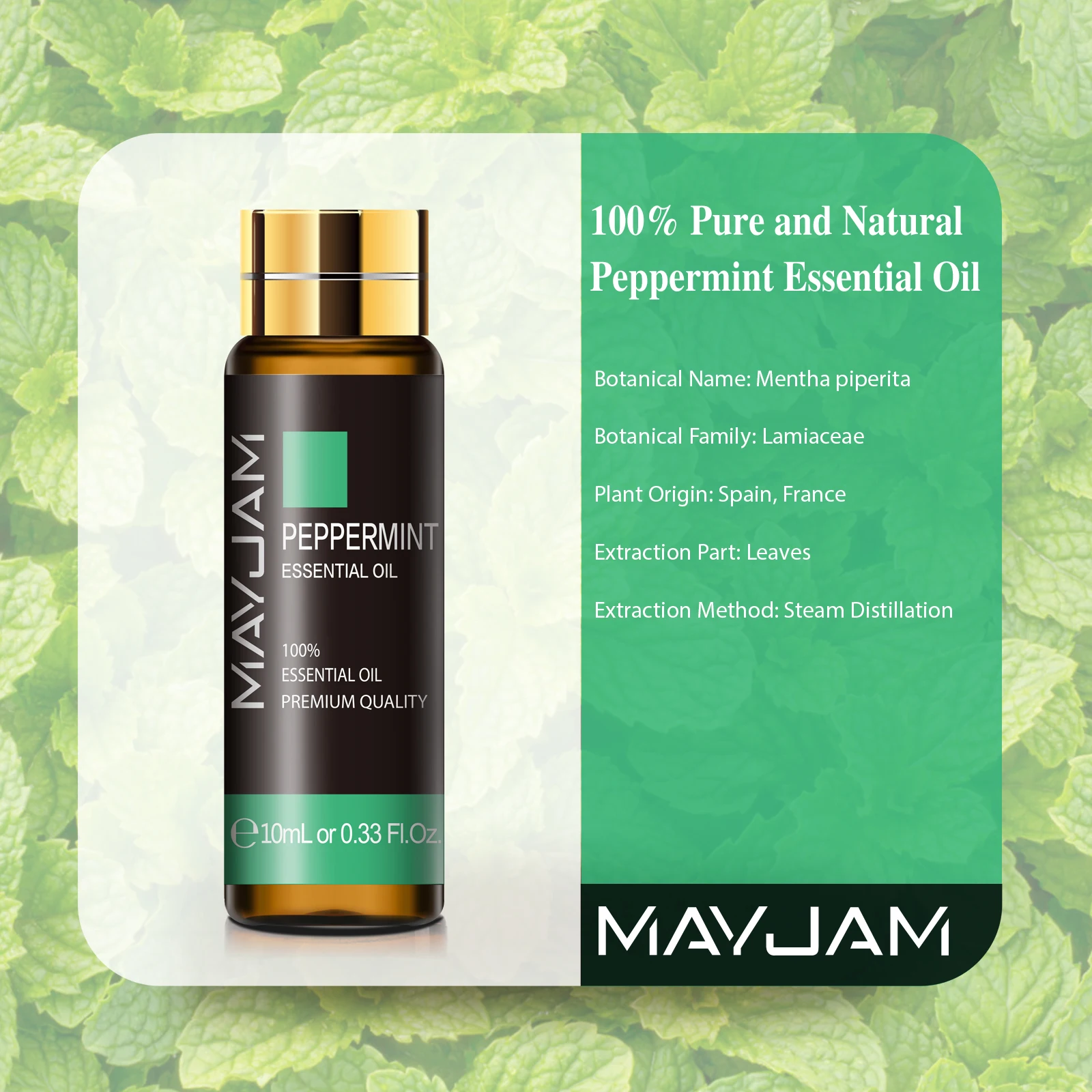 OEM Pure Natural Plant aromatherapy 10ml with Dropper Peppermint Essential Oils for Aroma Diffuser