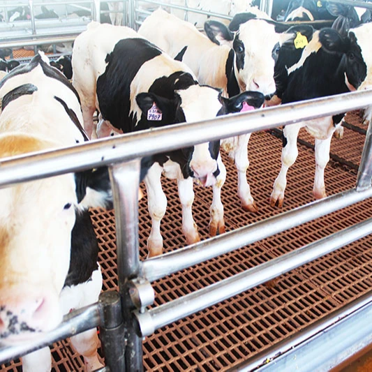 goat sheep pig plastic slatted floorfor pig farmsplastic goat slatted floor