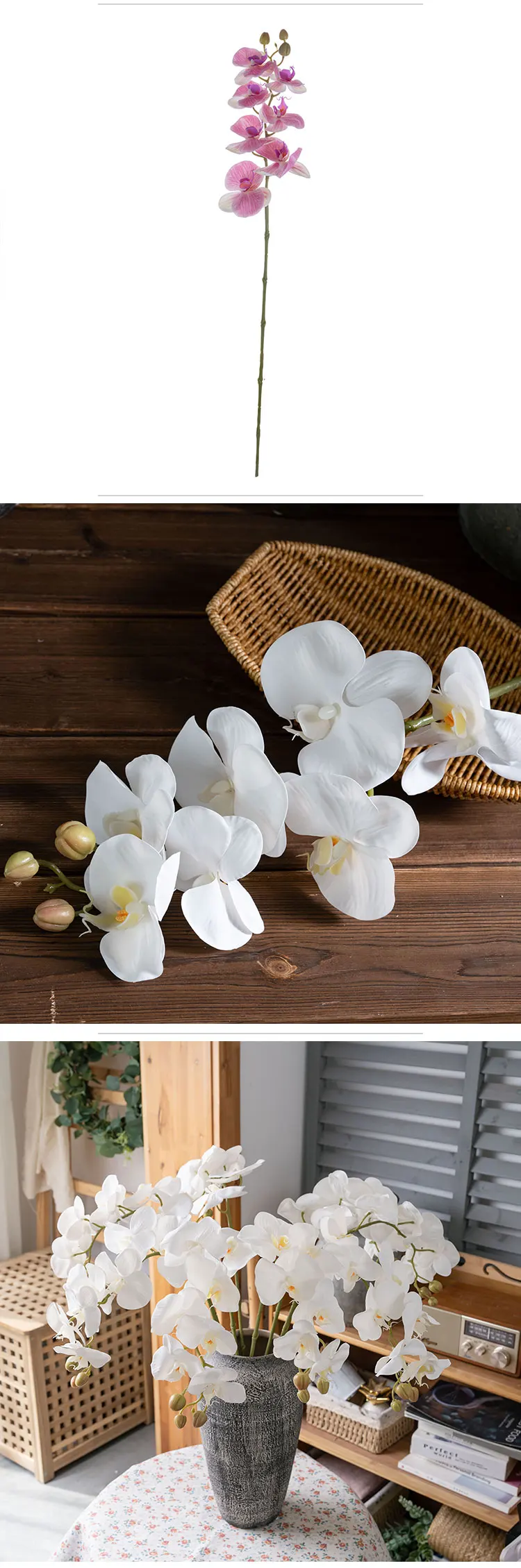 4 Dahlia MW18904.jpg