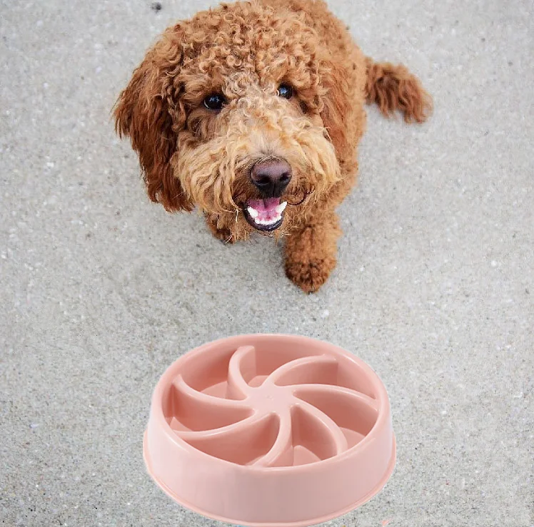 
Hot Sale Eco-Friendly Portable Pet Bowl Silicone Dog Slow Feeder Bowl with Non Slip Fun Feeder 