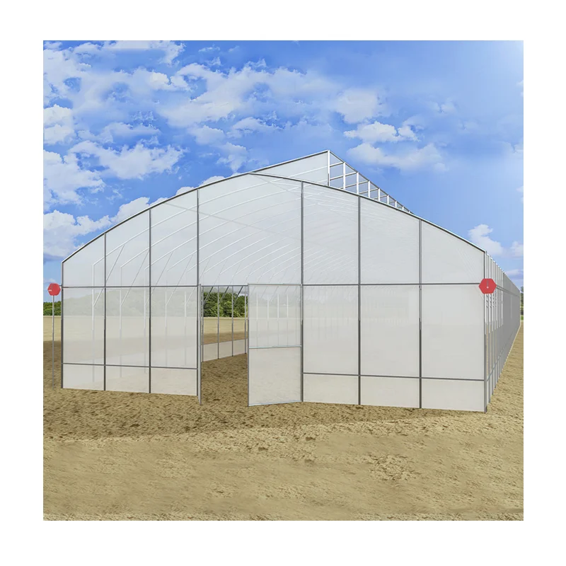 tunnel greenhouse fixed roof window greenhouse high quality greenhouse with cooling system