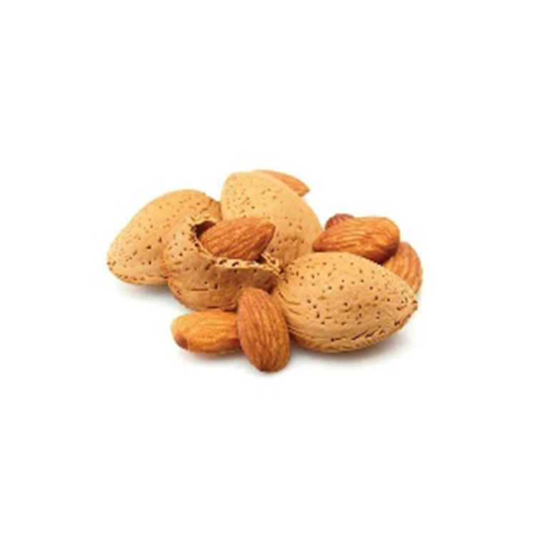 
Hot Selling High Quality Almond Wholesale Almond Delicious Almond  (1600181637355)