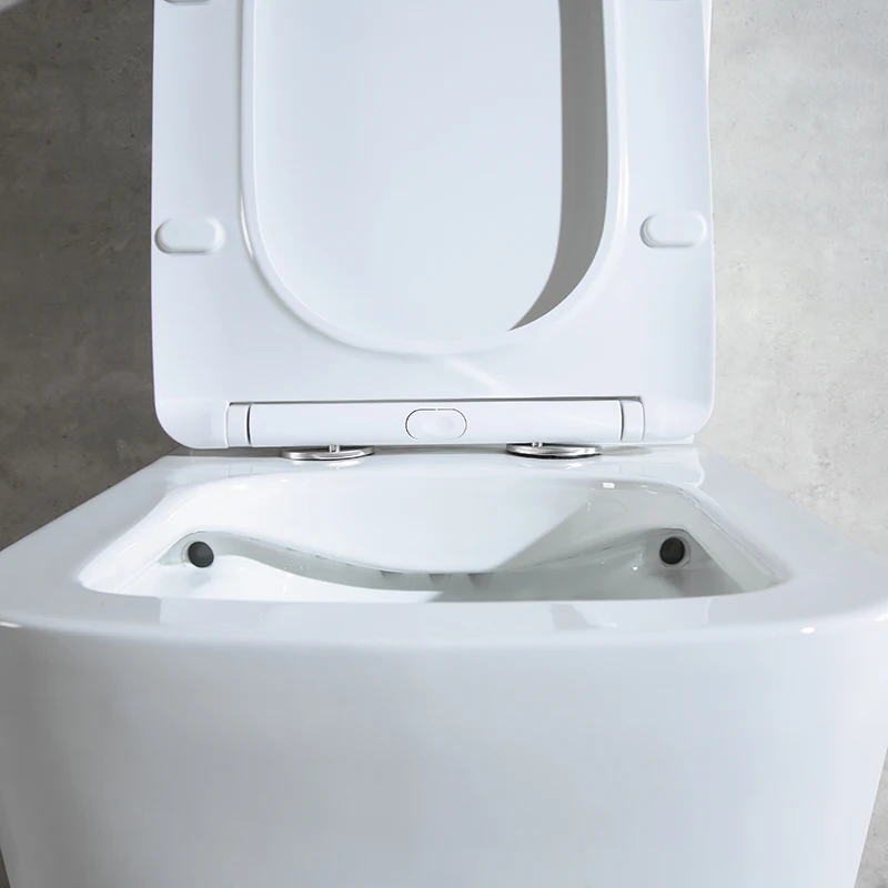 High grade white ceramic two piece modern style toilet for low price