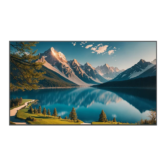Розничная реклама дисплей экран 49 дюймов Lcd Digital Signage окно облицовочный ЖК-дисплей