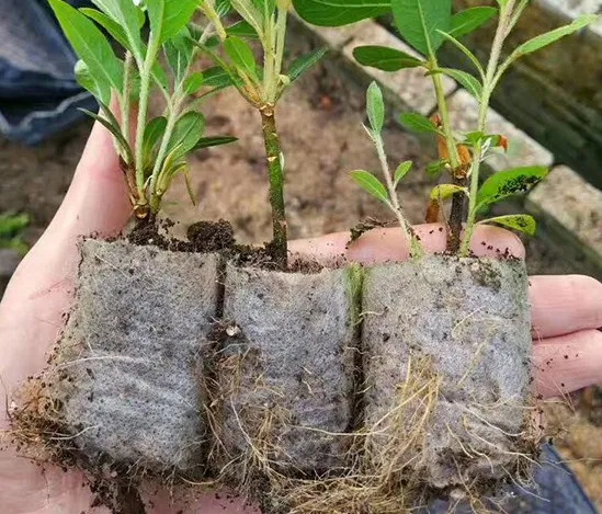 Garden Thickened Planting Flower Seed Starter Bags Non Woven Fabric Nursery Seedling Grow Bag