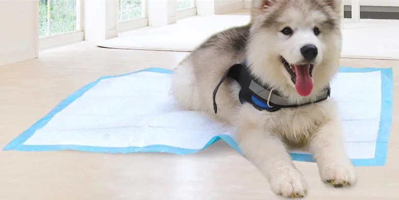 
Private Label Pet Dog Cat Puppy Training Toilet Wee Pee Pads 