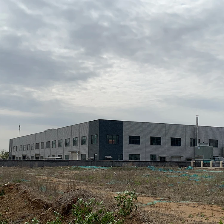 Modern Chinese Prefabricated Prefab Light Painted Steel Structure Warehouse Shed Large Span Steel Structure Workshop