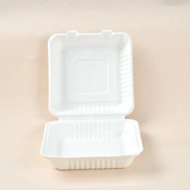 Best Price 8 inch Sugarcane Bagasse Pulp Clamshell Box Takeaway Food Container Paper Lunch Boxes