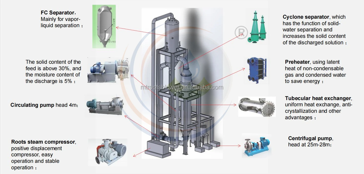 Main Composition_.jpg