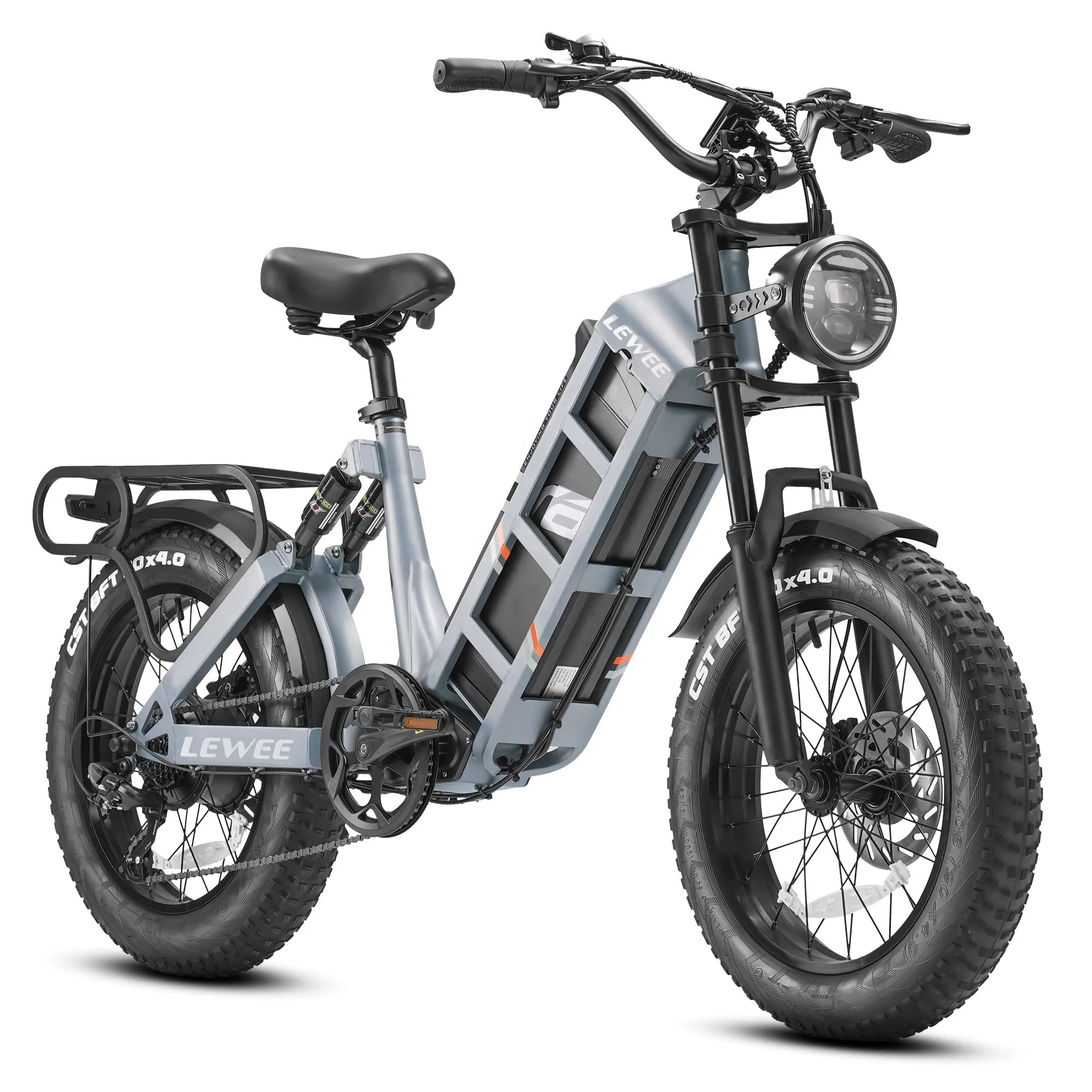 2023 Hot Sale 48v 60ah 1000W Electric Bike E Bike Long Range Electric Motorcycle Full Suspension  Bicycle With 20inch Fat Tire