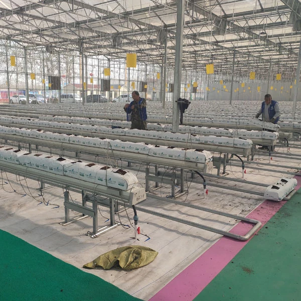 Agricultural Green House Multi-Span Polycarbonate Greenhouse Hydroponic Planting System For Tomato