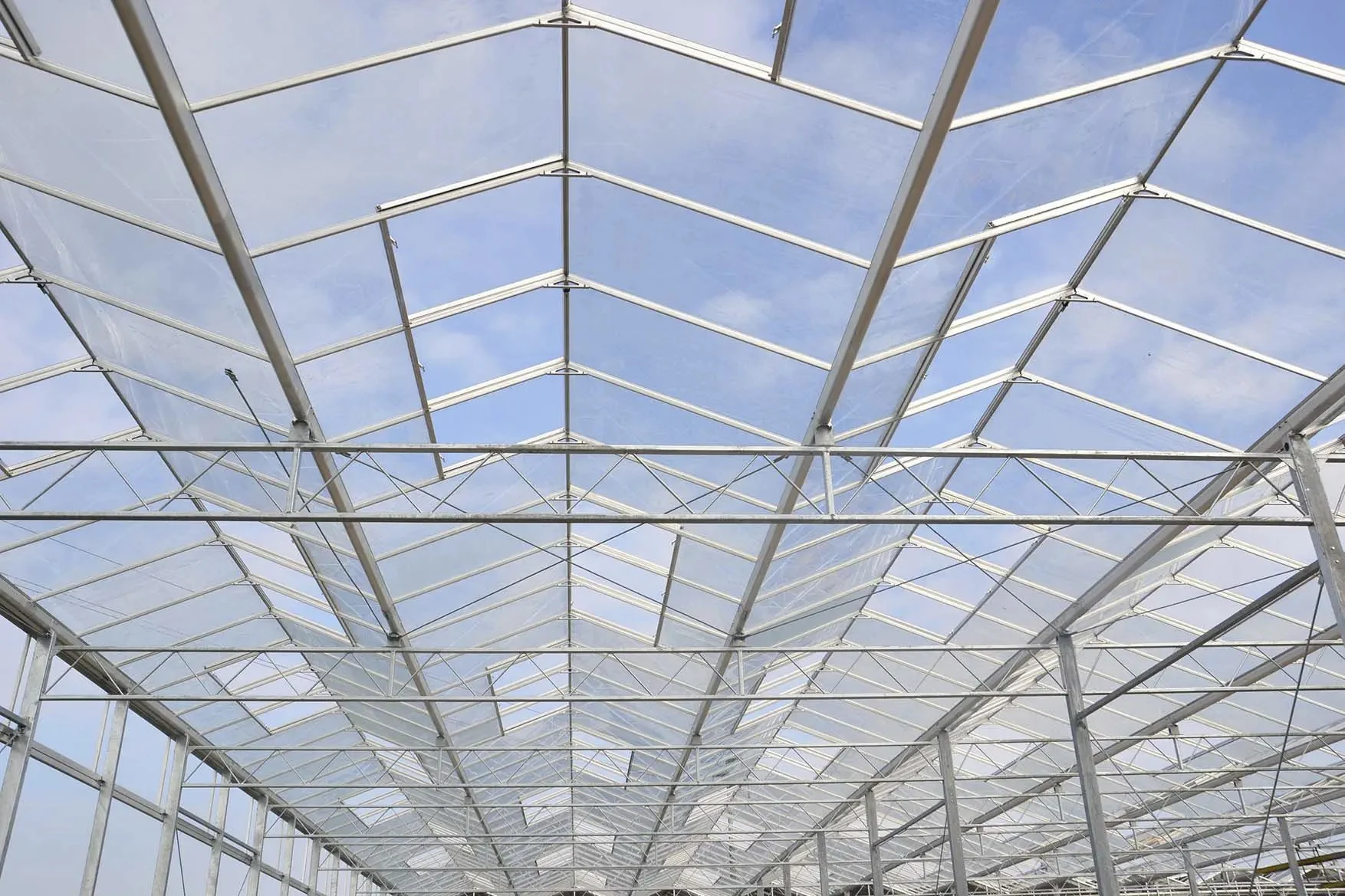 Vertical Venlo Glass Greenhouses with Hydroponics System for Growing Vegetables