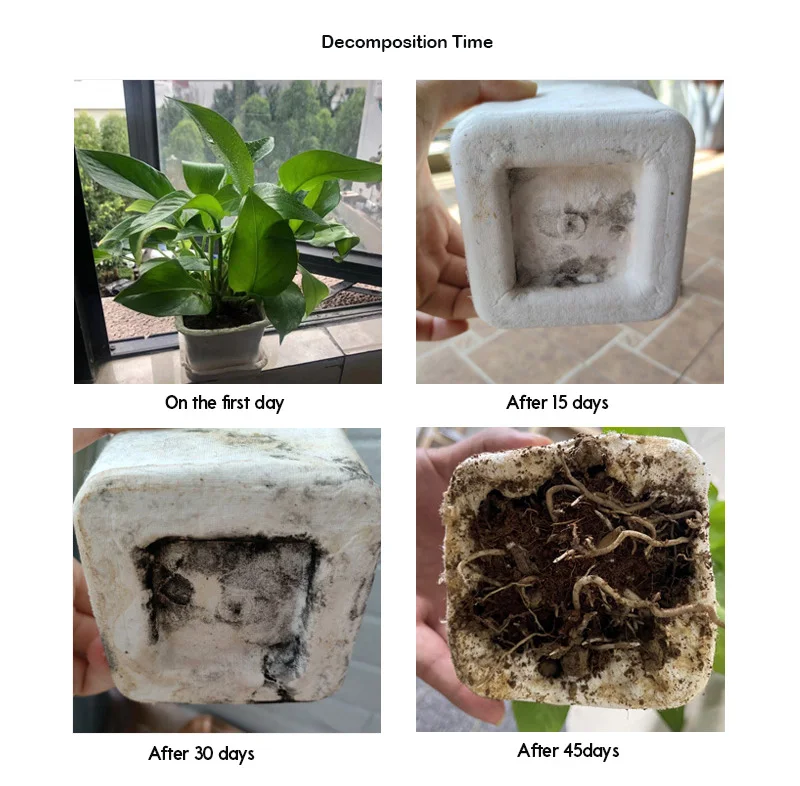 OEM Biodegradable Natural Color Pulp Molded Pharmaceutical Packaging Box For Eco-Conscious Medicine Solutions