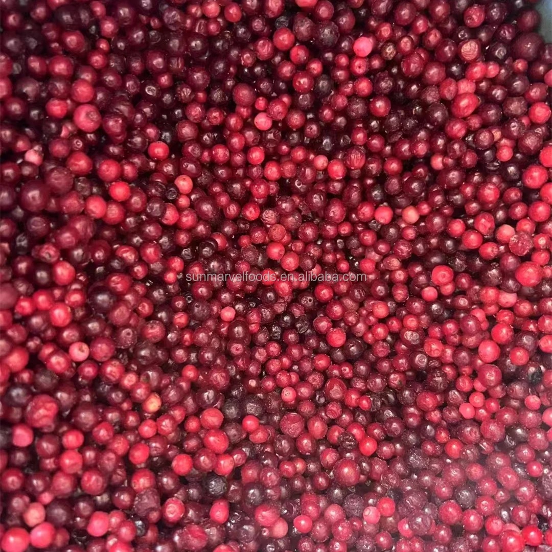 Quick Frozen Fruit Berry for Beverage Producing organic frozen lingonberry bulk