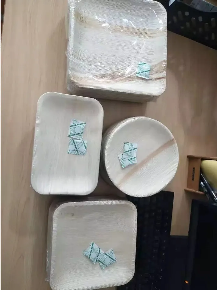 10 Inch Square palm leaf disposable plates for party Compostable Eco Friendly palm leaf plates set biodegradable plate
