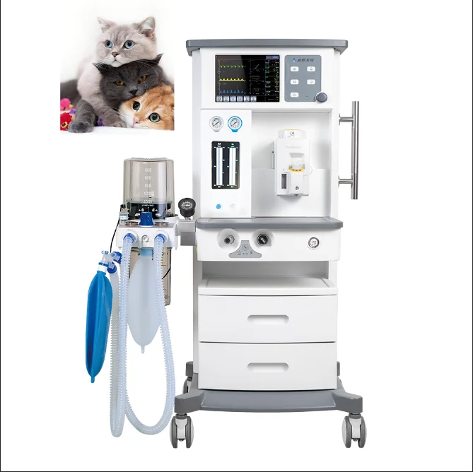Economic type cheap hospital pet vet animal anesthesia machine
