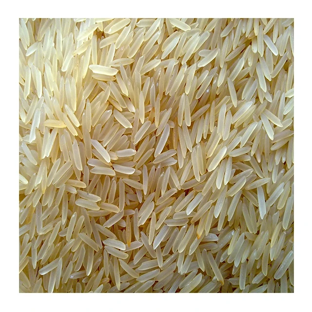 Prices 100% 1121 Basmati Golden Sella Supplier Natural Rice Long Grain Top Grade Basmati Rice from Indian India NGK Soft Current