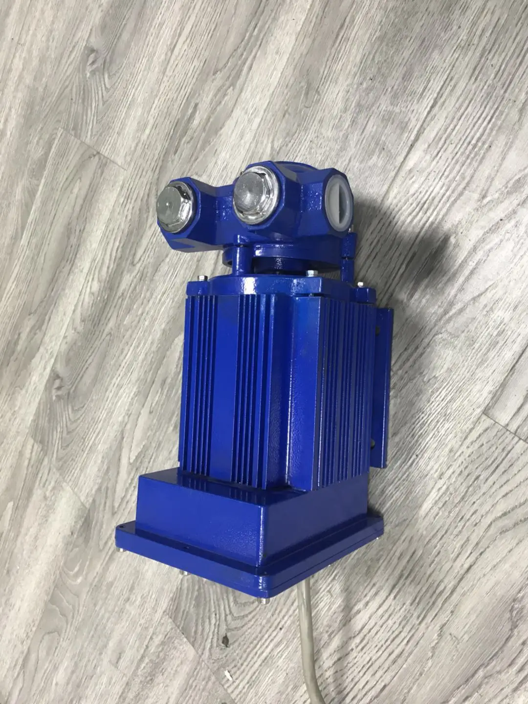Durable 12V / 24V Fuel Transfer Pump/Explosion-proof Pump for Transferring Gasoline / Diesel