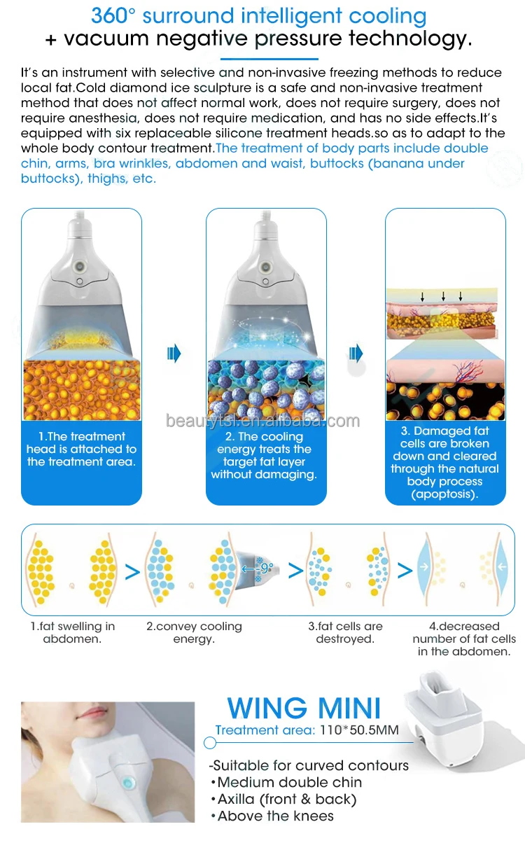 TSL-1102A cryolipolysis 2.jpg