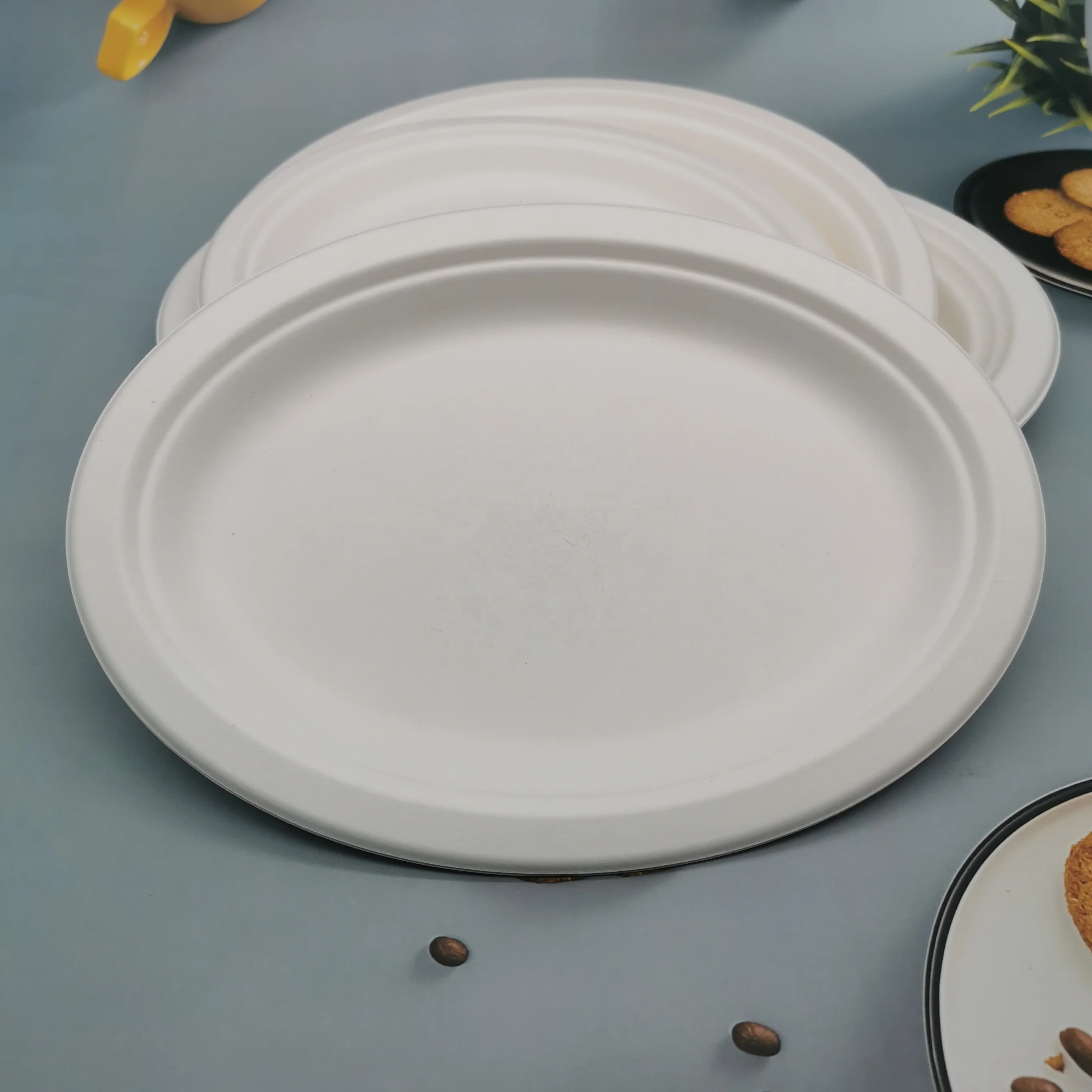 Natural Renewable Bagasse Tableware 100% Compostable Sugar Cane Bagasse Pulp Oval Shape Dishes Plates