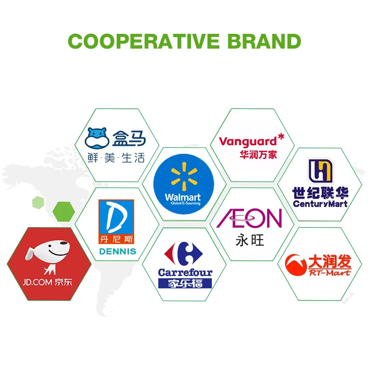 Wholesale Private Label Tomato Paste OEM Tomato Paste Factory