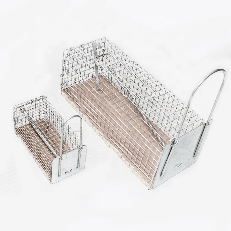 Eco-Friendly Custom PP Material Outdoor Pest Control Glue Trap Square Shape Light Design Plant Motif Attractive Wild Boar Rat