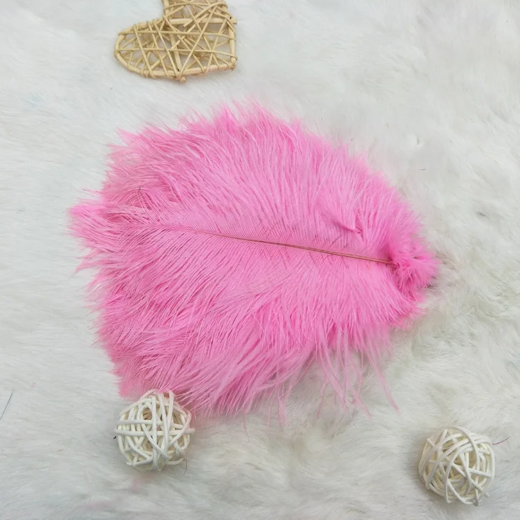 20-25CM Natural Dyeable Ostrich Feather Mulity Color Feather For Dress