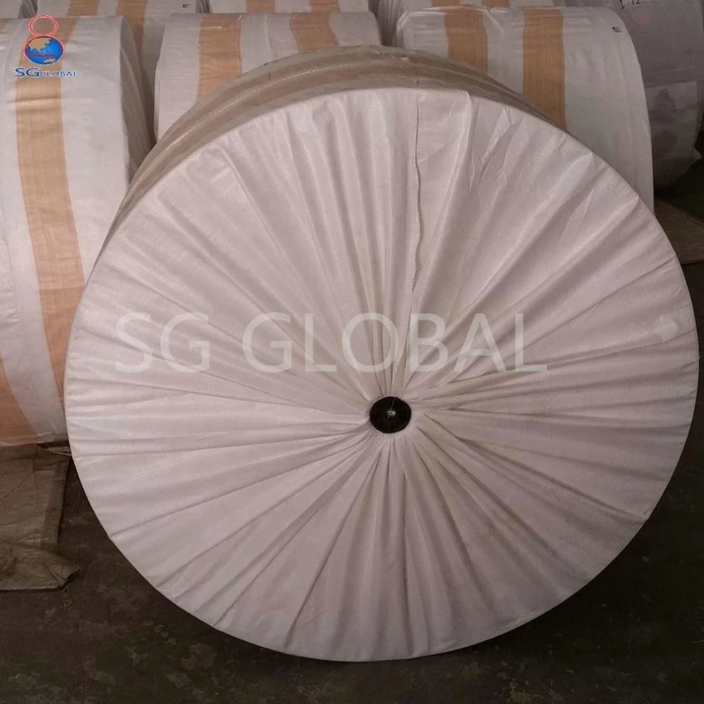 GRS CE OEM PP Polypropylene Woven Fabric in Roll Woven Bag Agriculture Recyclable 3 Tons 100% Virgin PP Accept 38-230gsm CN;SHN
