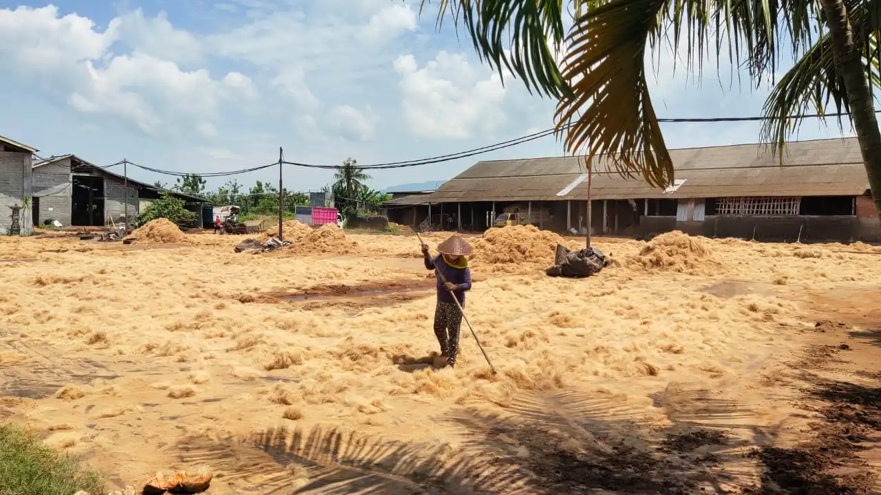 TOP SELLING NURSERY SEED FOR HYDROPONICS AGRICULTURE PERFECT CHOICE OF FARMER IS COCOPEAT COIR BLOCK WITH NUTRIENT AND QUALITY