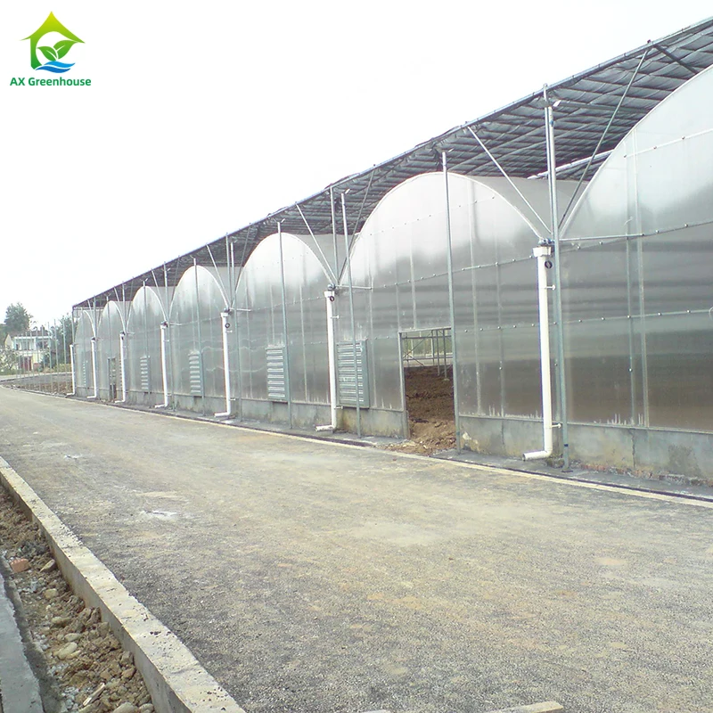 High Quality Plastic UV Resistant Film Agricultural Poly Tunnel Berry Tomato Multi-span Greenhouses For Fruit Vegetables