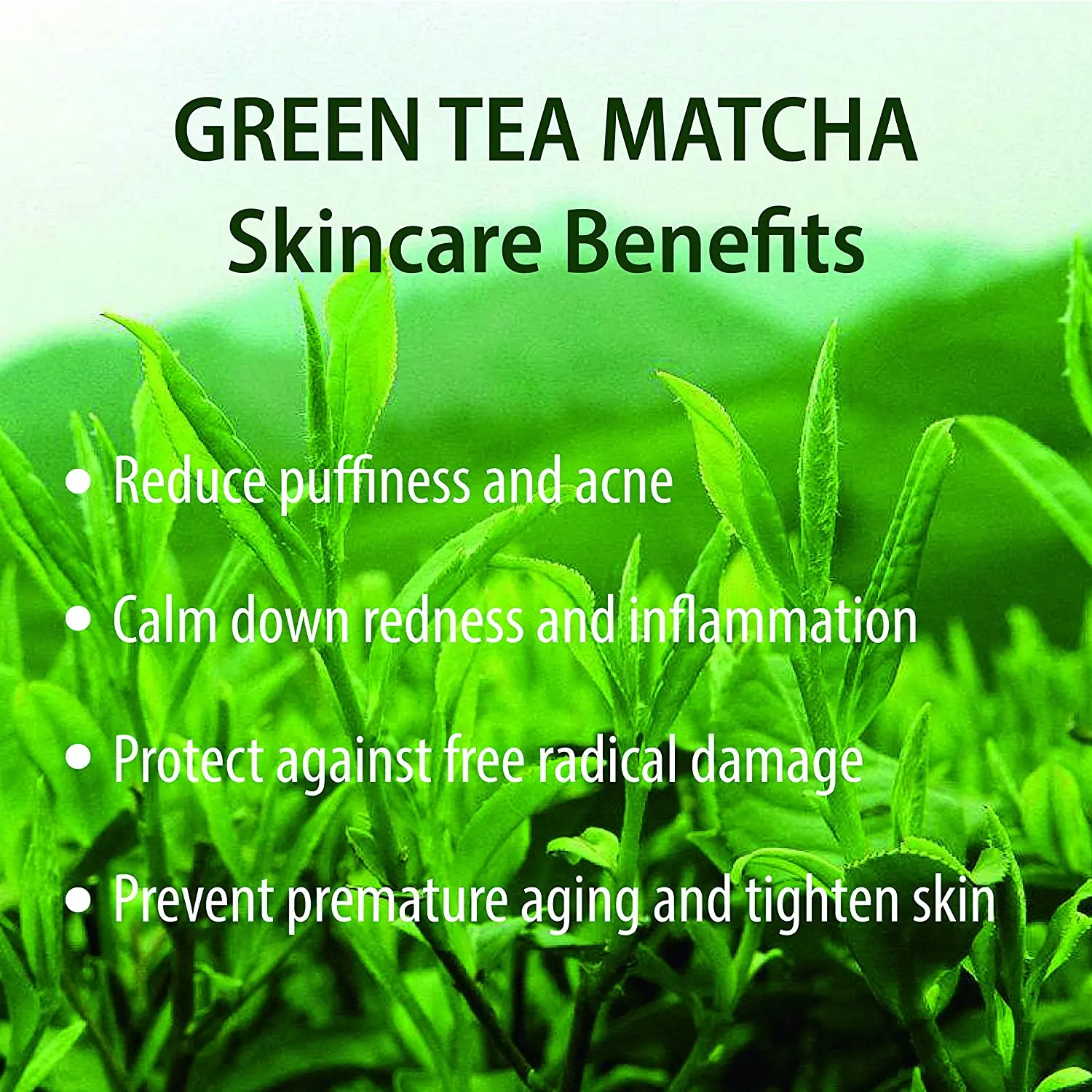 Beauty Key Private Label Skin Care Sets With Logo Corean Skin Care Plant Base Skin Care Facial Mud Mask