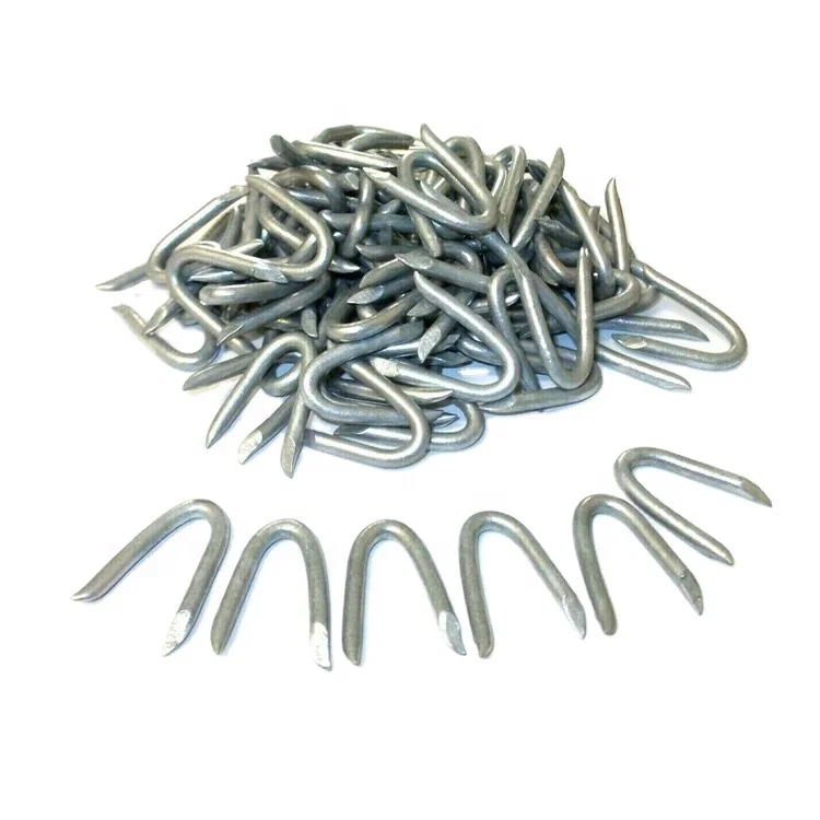 Galvanized U-shaped fence nail