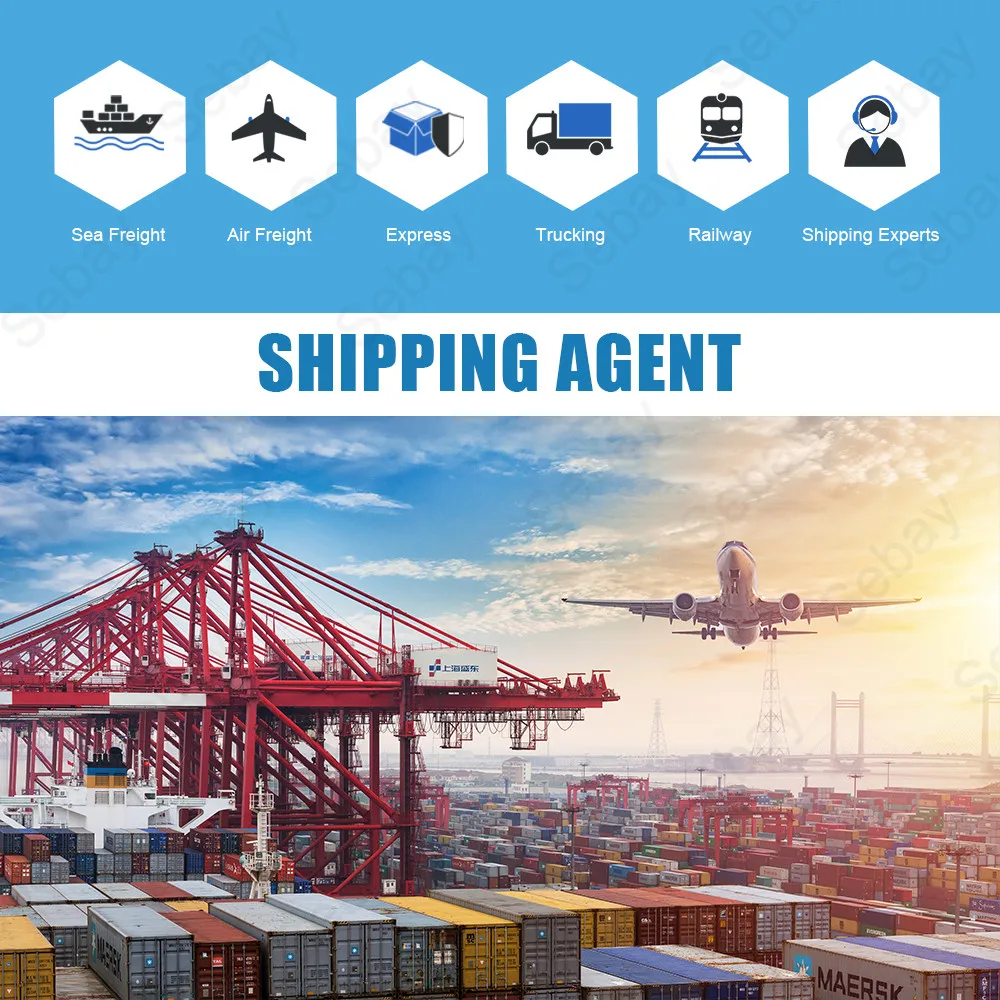 sea/air freight shipping forwarder agent from Tianjin,Haikou, Tianjin, Dalian, Foshan to Delhi