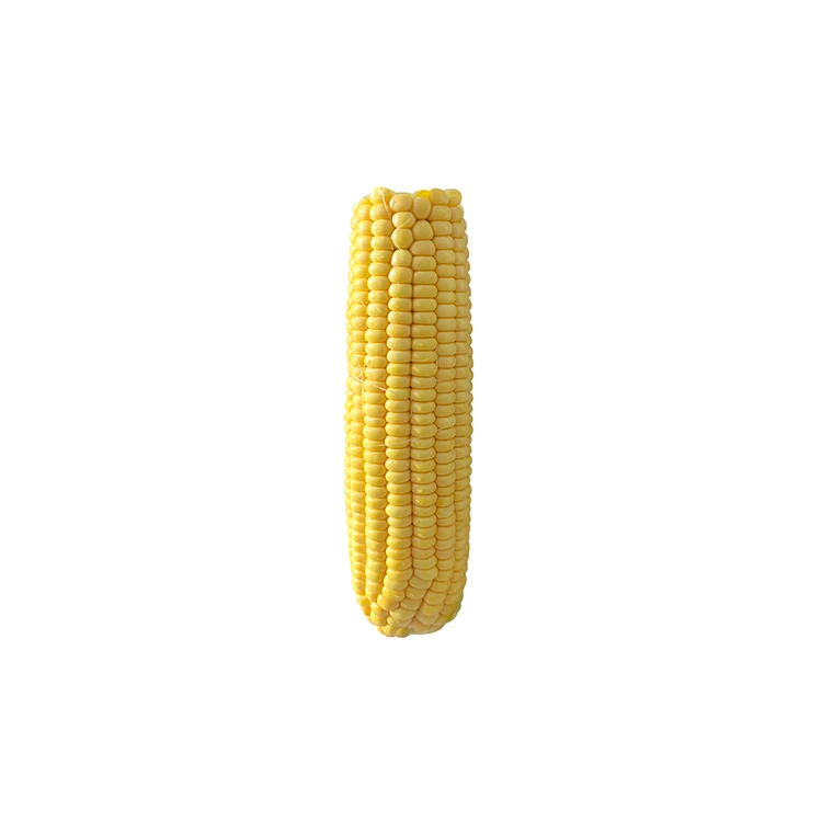 China Manufacturer Direct Wholesale Fresh Baby Corn Yellow Maize Corn
