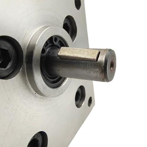 Factory direct stainless steel metering pump, stainless steel gear pump, custom hydraulic pump