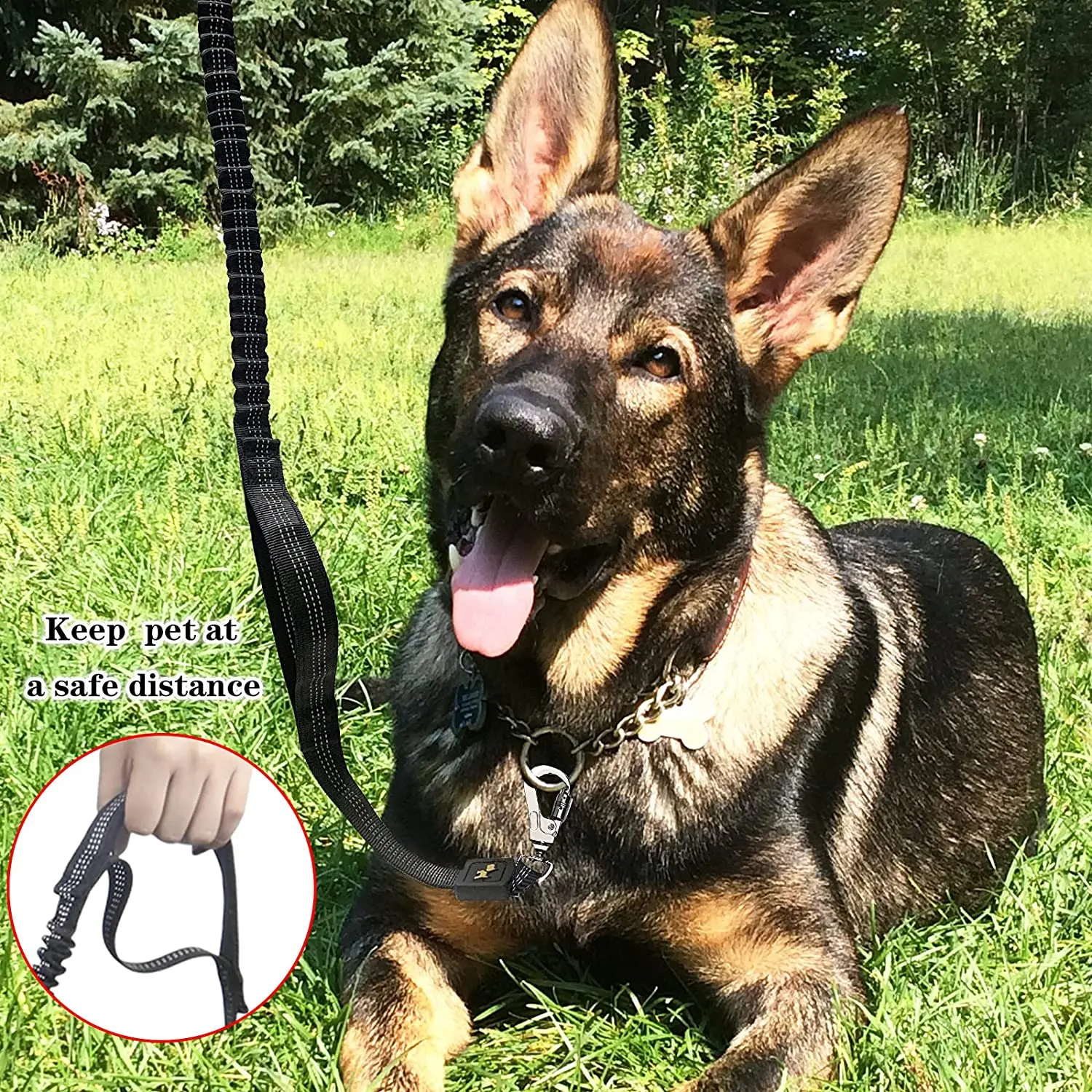 web band High Quality Folded Wrinkled Buffering Nylon Polyester Elastic Bungee Webbing for Dog Leash and Safety Products