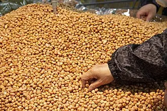 Best Quality Organic Peanuts