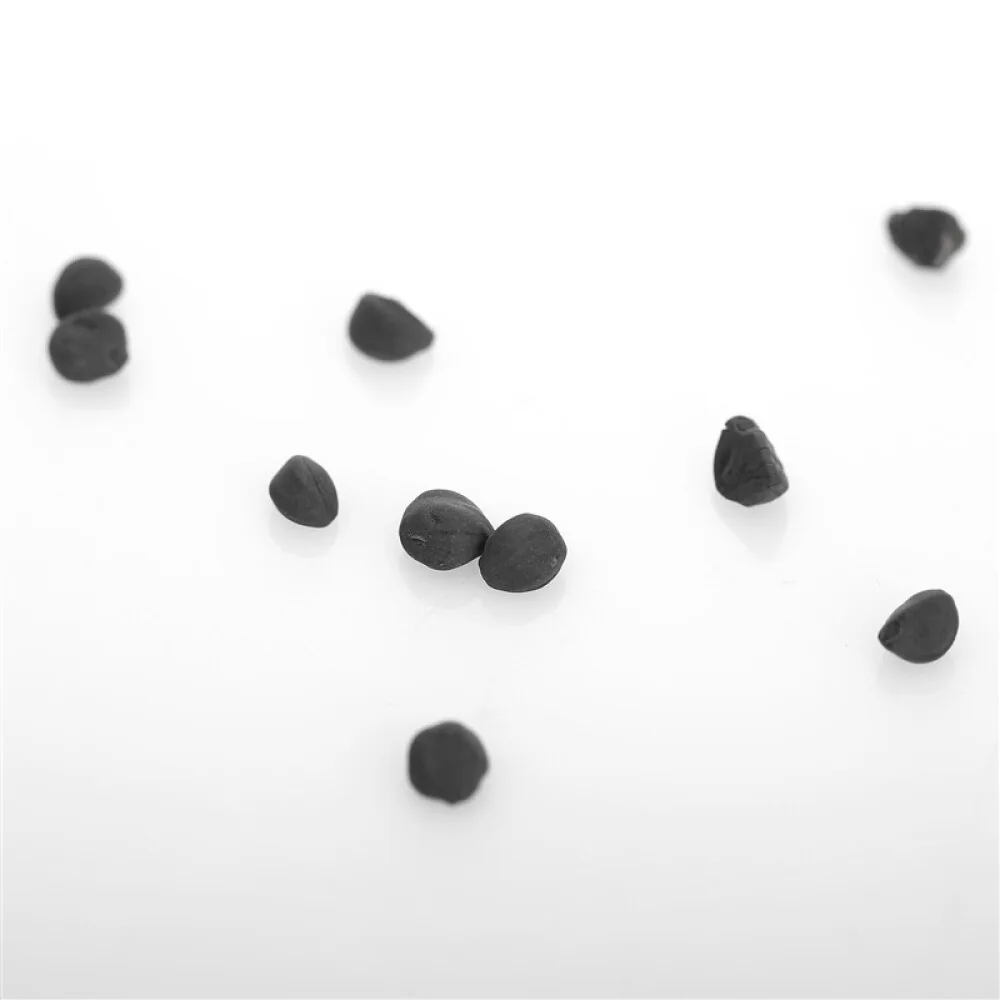 
Chinese Garden Bonsai High Germination Morning Glory Phoebe Petunia Flower Seed 