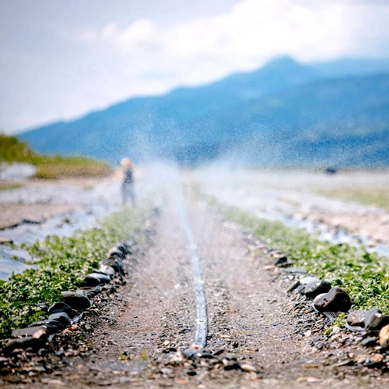 Rain Hose Pipe Agricultural Laser Spray Irrigation 50mm Micro Spray Tube Irrigation System Connector