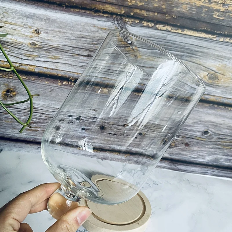 DIY Transparent Blown Glass Flower Cover Micro Landscape Tabletop Decorations for Garden House Jar