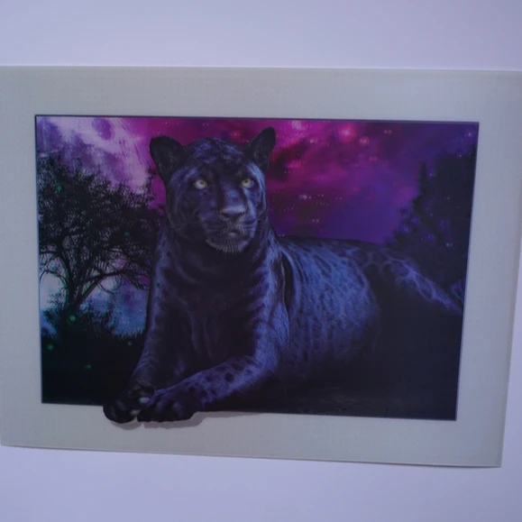 3D Lenticular Picture Poster Kitchen 11.8 X 15.7 inches Image Pictures 3D ANIMAL Paintings