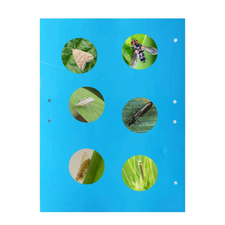 Insect Sticky Trap Pest With Double-sided Glue For Greenhouse Orchard Farm Waterproof