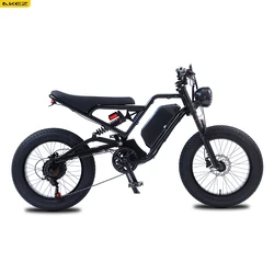 2023 Low price electric city bike 750w e bike Frame EU UK US sell e-bike Frame electric bike for mountain use