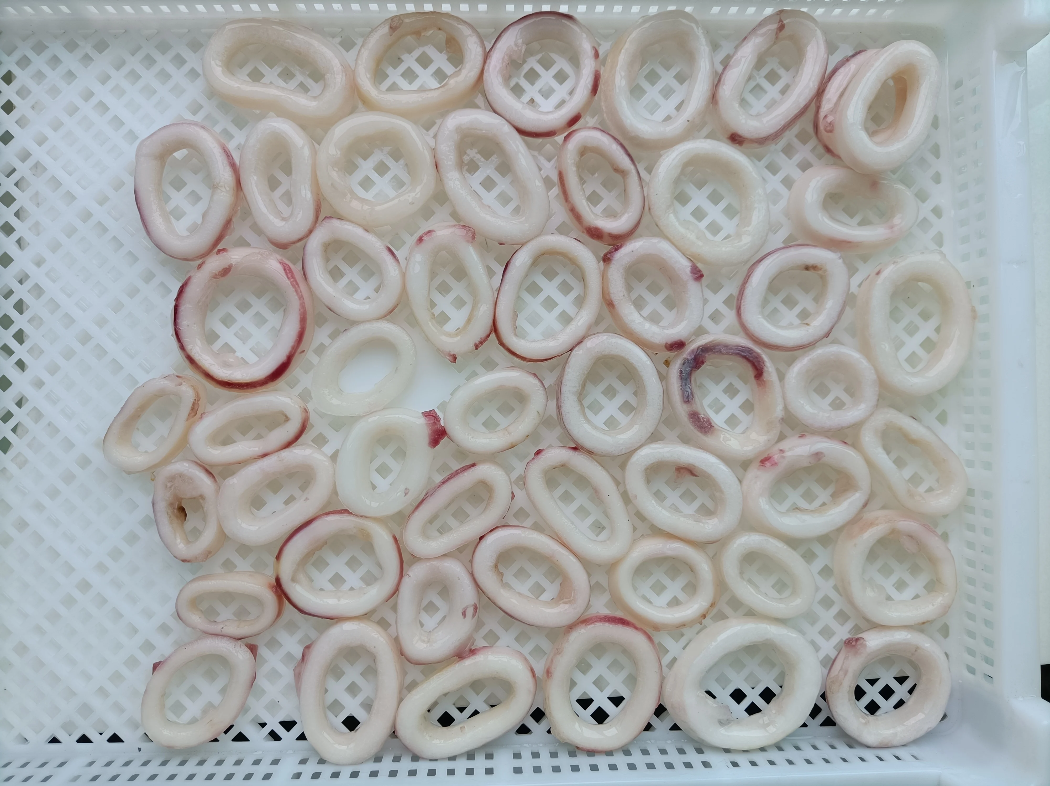 Clean Squid Rings Led Squid Ring Frozen Blanched Squid Rings