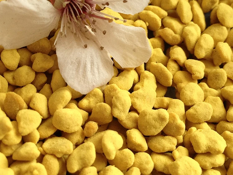 pure rape pollen.jpg