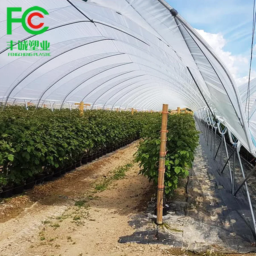 uv resistant ldpe film 200 micron greenhouse plastic for agriculture