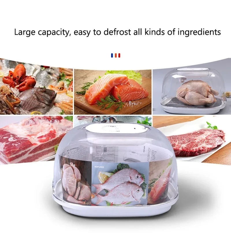 2023 Hot Selling 2 in 1 Defrosting Tray Thawing Household Defrosting Box for Frozen Meat, Chicken, Fish, Steak
