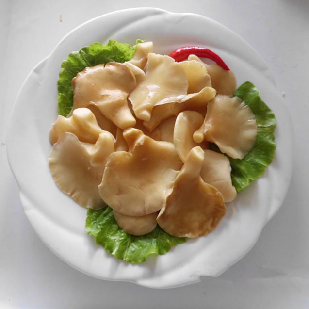 
canned mushroom Factory price fresh canned abolane mushroom 